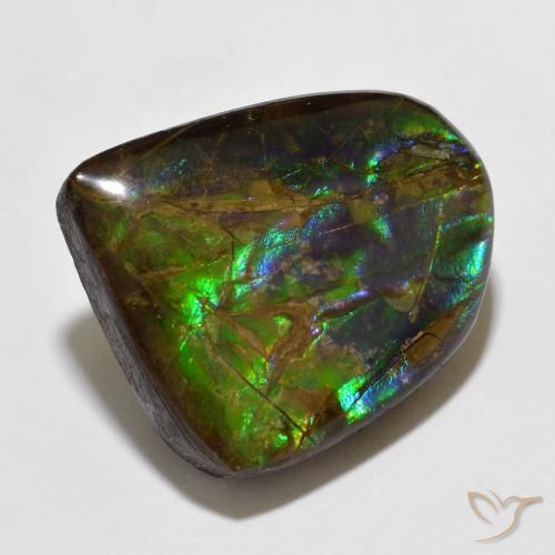 amolita Multicolor natural de 15.49 ct, Elegante, Opaco