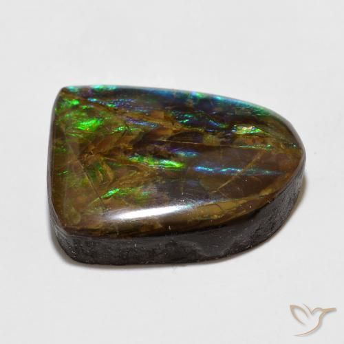 amolita Multicolor natural de 15.49 ct, Elegante, Opaco