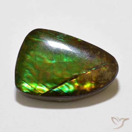 10.67ct Natural Multicolor amolita, Elegante, Opaco
