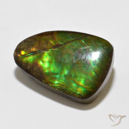amolita Multicolor natural de 10.67 ct, Elegante, Opaco