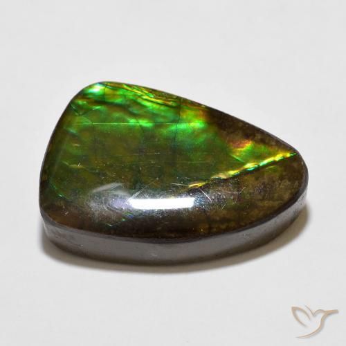 amolita Multicolor natural de 10.67 ct, Elegante, Opaco