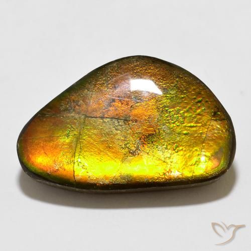 12.35ct Natural Multicolor amolita, Elegante, Opaco