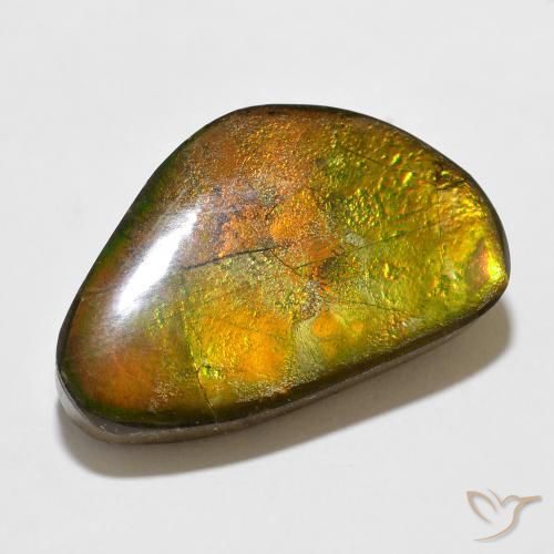 amolita Multicolor natural de 12.35 ct, Elegante, Opaco