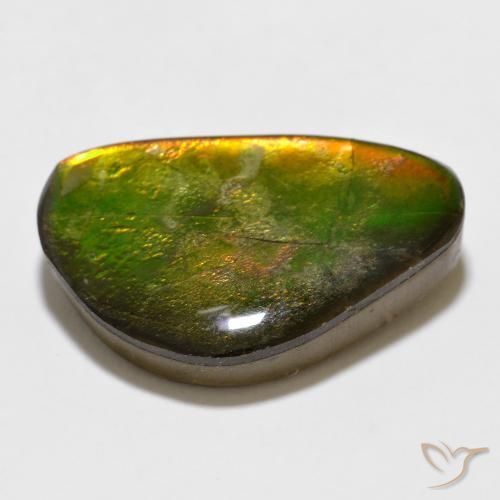 amolita Multicolor natural de 12.35 ct, Elegante, Opaco