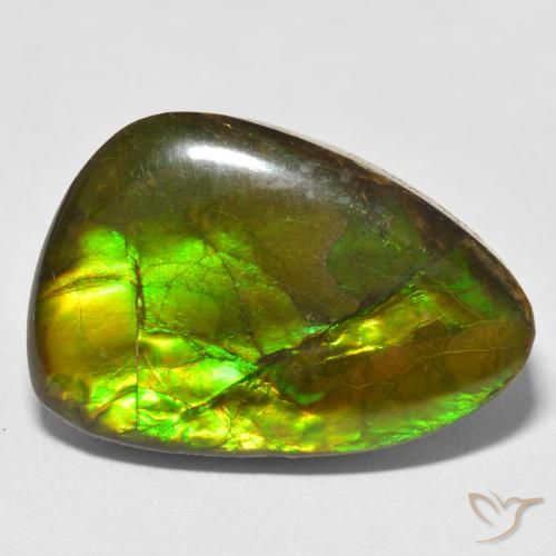 17.22ct Natural Multicolor amolita, Elegante, Opaco