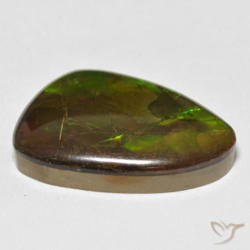 amolita Multicolor natural de 17.22 ct, Elegante, Opaco