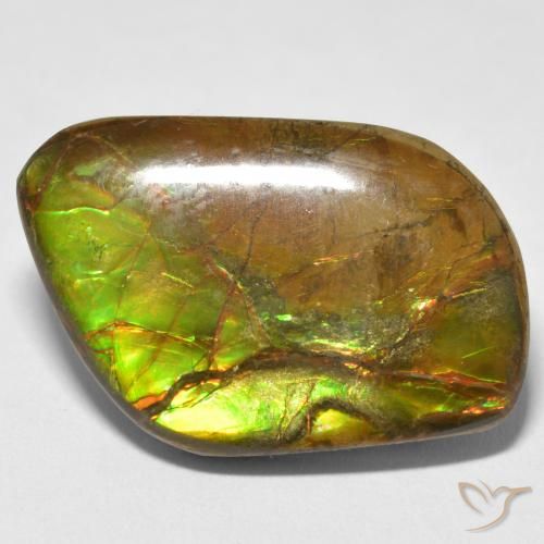 16.70ct Natural Multicolor amolita, Elegante, Opaco