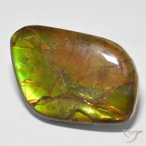 amolita Multicolor natural de 16.70 ct, Elegante, Opaco