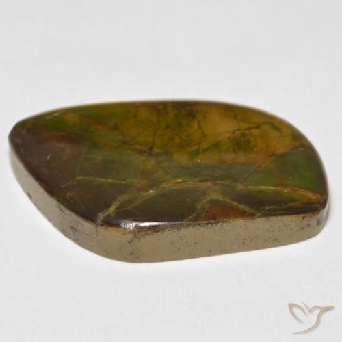 amolita Multicolor natural de 16.70 ct, Elegante, Opaco