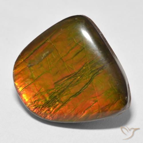 amolita Multicolor natural de 17.88 ct, Elegante, Opaco
