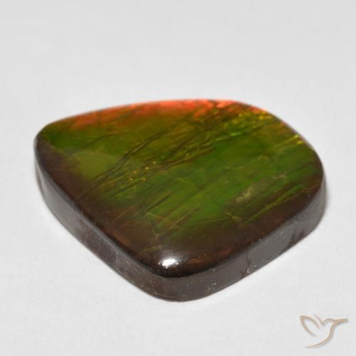 amolita Multicolor natural de 17.88 ct, Elegante, Opaco