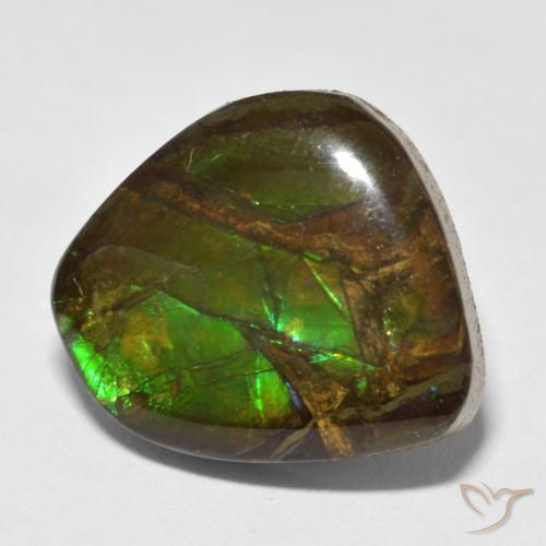 amolita Multicolor natural de 13.52 ct, Elegante, Opaco