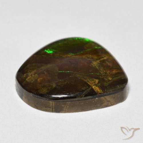 amolita Multicolor natural de 13.52 ct, Elegante, Opaco