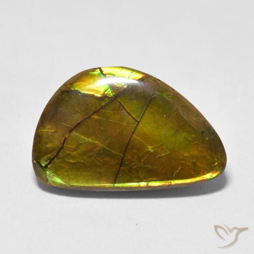 11.63ct Natural Multicolor amolita, Elegante, Opaco