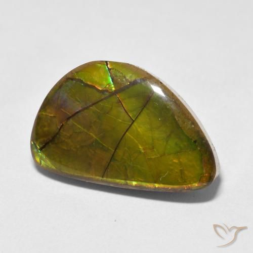 amolita Multicolor natural de 11.63 ct, Elegante, Opaco