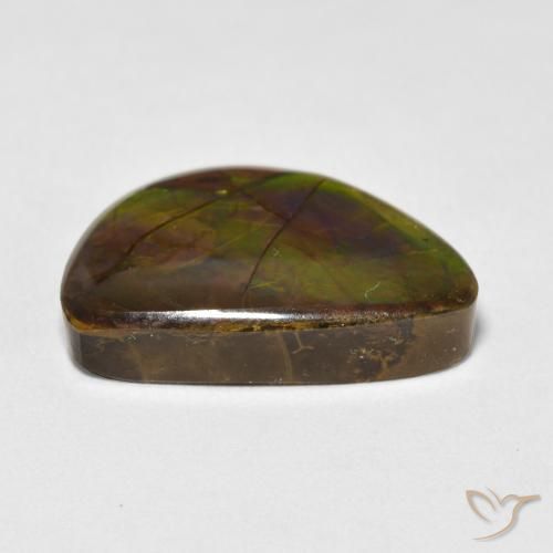 amolita Multicolor natural de 11.63 ct, Elegante, Opaco