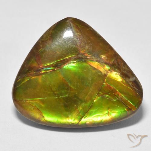 13.26ct Natural Multicolor amolita, Elegante, Opaco