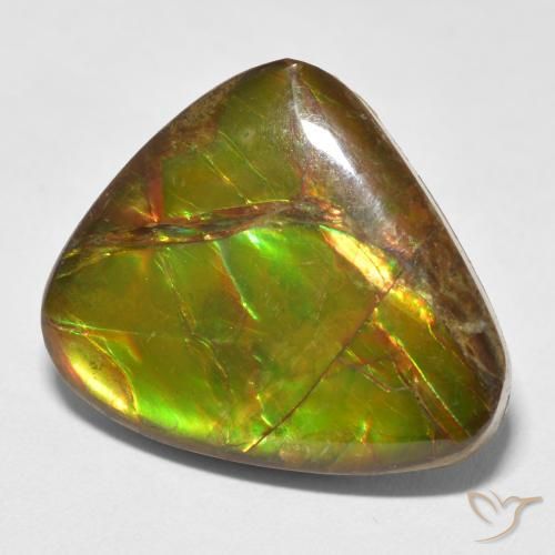 amolita Multicolor natural de 13.26 ct, Elegante, Opaco