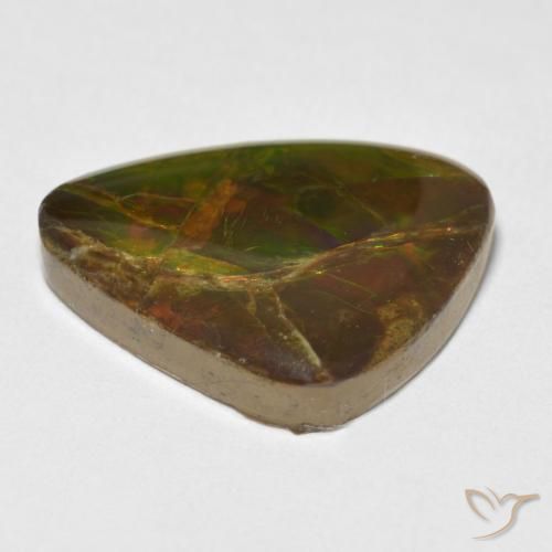 amolita Multicolor natural de 13.26 ct, Elegante, Opaco