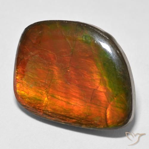 amolita Multicolor natural de 15.38 ct, Elegante, Opaco