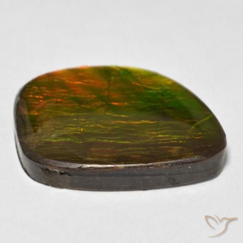 amolita Multicolor natural de 15.38 ct, Elegante, Opaco