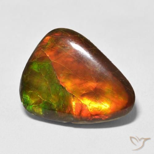 amolita Multicolor natural de 13.25 ct, Elegante, Opaco