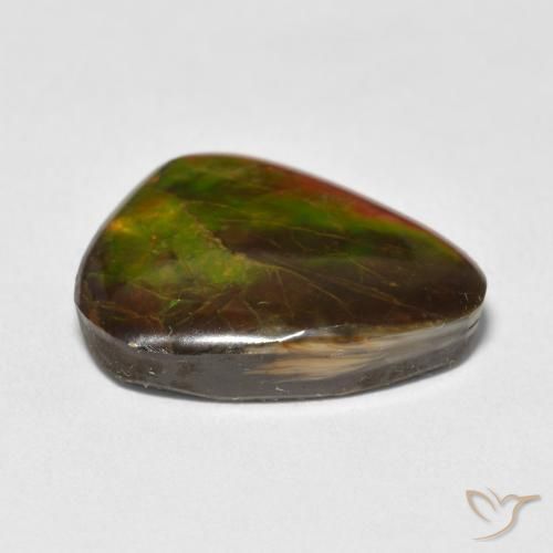 amolita Multicolor natural de 13.25 ct, Elegante, Opaco