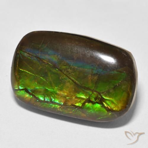 amolita Multicolor natural de 16.16 ct, Elegante, Opaco