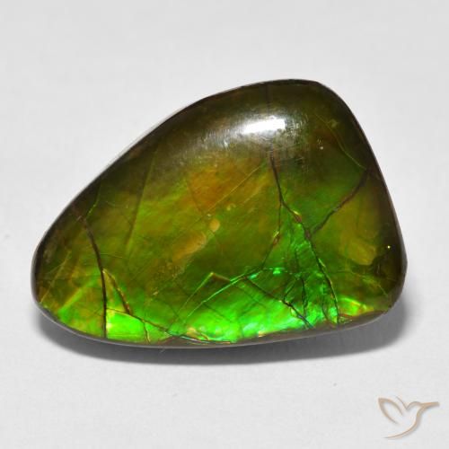 13.40ct Natural Multicolor amolita, Elegante, Opaco
