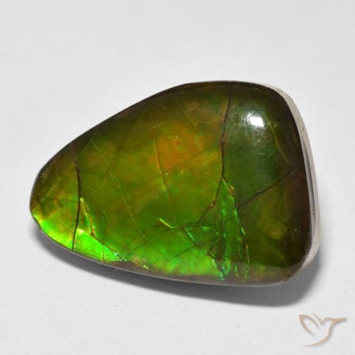 amolita Multicolor natural de 13.40 ct, Elegante, Opaco
