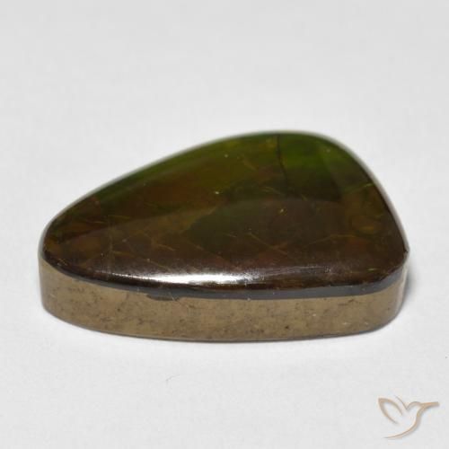 amolita Multicolor natural de 13.40 ct, Elegante, Opaco