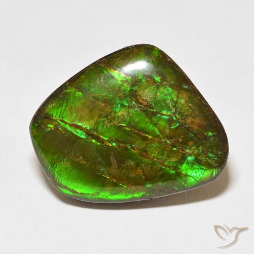 18.11ct Natural Multicolor amolita, Elegante, Opaco