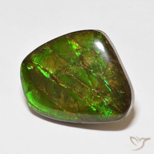 amolita Multicolor natural de 18.11 ct, Elegante, Opaco