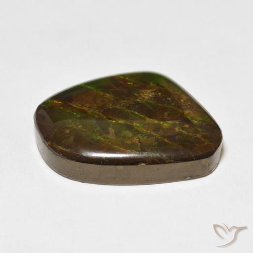amolita Multicolor natural de 18.11 ct, Elegante, Opaco