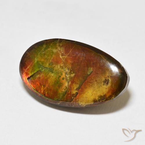 amolita Multicolor natural de 15.62 ct, Elegante, Opaco