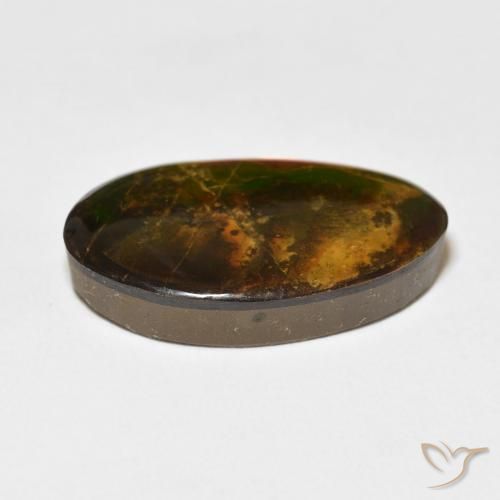 amolita Multicolor natural de 15.62 ct, Elegante, Opaco
