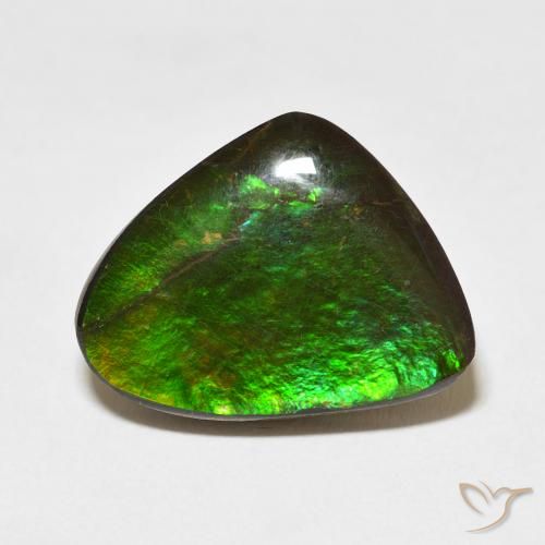 11.37ct Natural Multicolor amolita, Elegante, Opaco