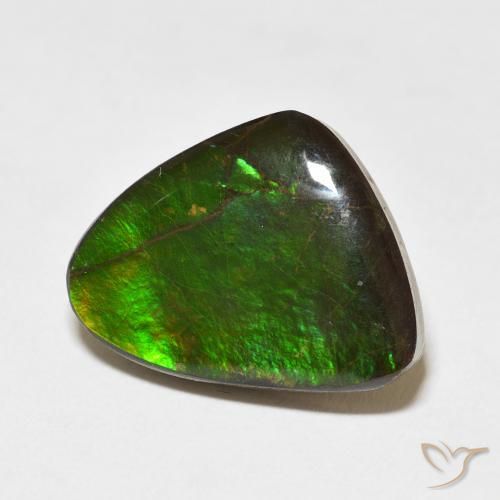 amolita Multicolor natural de 11.37 ct, Elegante, Opaco