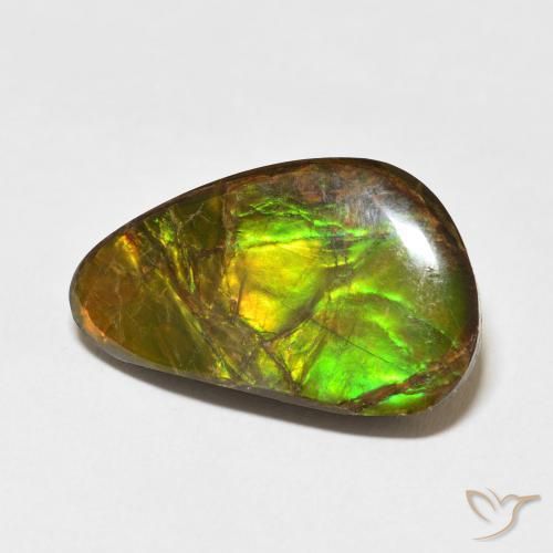 amolita Multicolor natural de 14.61 ct, Elegante, Opaco