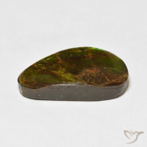 amolita Multicolor natural de 14.61 ct, Elegante, Opaco