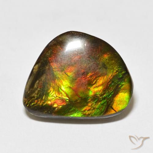 11.60ct Natural Multicolor amolita, Elegante, Opaco