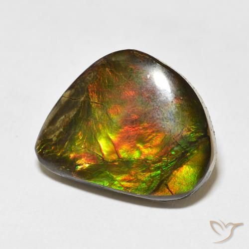 amolita Multicolor natural de 11.60 ct, Elegante, Opaco