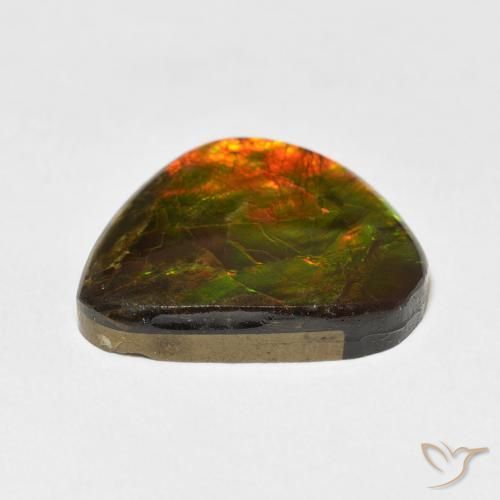 amolita Multicolor natural de 11.60 ct, Elegante, Opaco