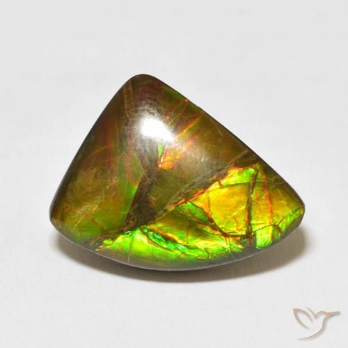 10.22ct Natural Multicolor amolita, Elegante, Opaco