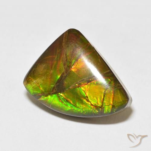 amolita Multicolor natural de 10.22 ct, Elegante, Opaco