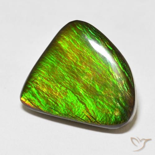 amolita Multicolor natural de 16.47 ct, Elegante, Opaco