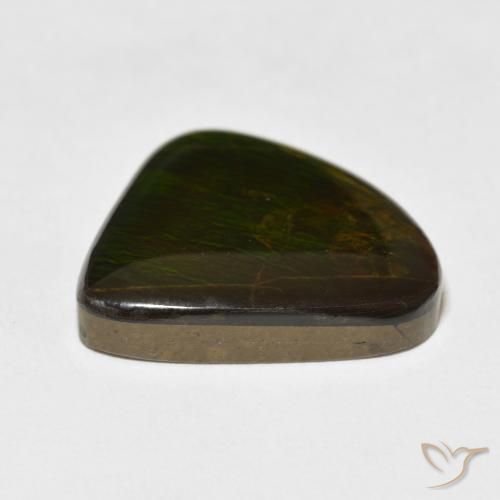 amolita Multicolor natural de 16.47 ct, Elegante, Opaco