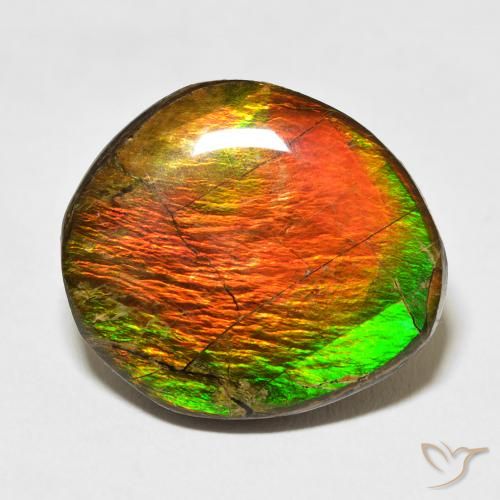 17.77ct Natural Multicolor amolita, Elegante, Opaco