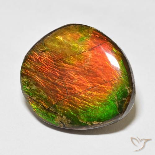 amolita Multicolor natural de 17.77 ct, Elegante, Opaco