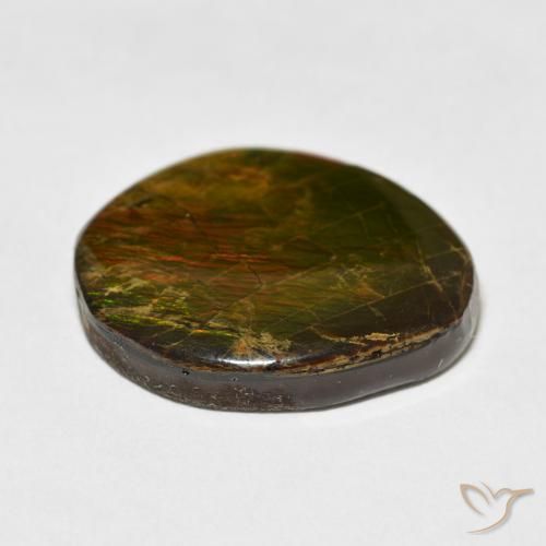 amolita Multicolor natural de 17.77 ct, Elegante, Opaco